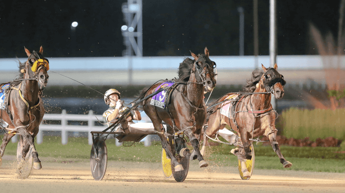 Dan Patch Festival at Harrah’s Hoosier Park