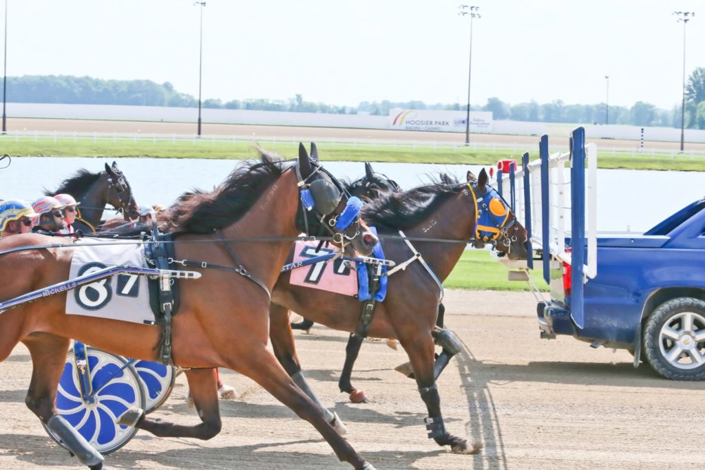 Horse Racing at Harrah’s Hoosier Park East Region Tourism IN Indiana