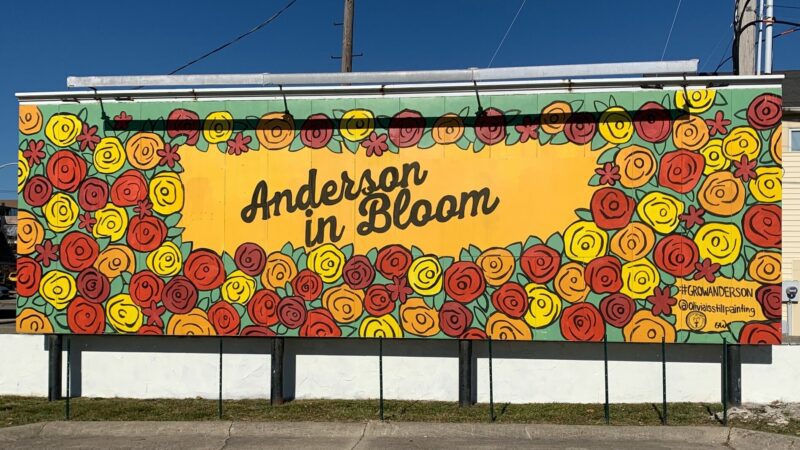 Anderson in Bloom