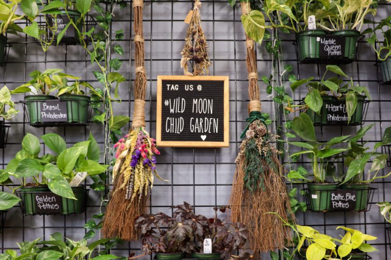 Wild Moon Child Garden & Boutique LLC in Anderson